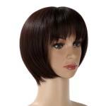 Hair Extension Factory - Long Straight Heat Resistant 7pcs 160grams Clip