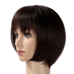 Hair Extension Factory - Long Straight Heat Resistant 7pcs 160grams Clip