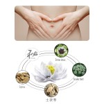 Herbal Panty Liner Factory - Organic Cotton Herbal Antibacterial Natural