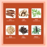 Herbal Panty Liner Manufacturer - Disposable Pure Cotton Antibacterial Care