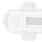 Sanitary Napkin Manufacturer - Max Plus Medical Super Absorbent Against