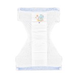 Baby Pull Up Diaper Manufacturer - China OEM ODM Free Sample SAP Super
