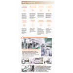 Sanitary Napkin Factory - OEM ODM Disposable Anion Natural Organic Cotton