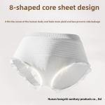 Period Pants Manufacturer - 2pack/box 4piece/pack Super Absorbent Postpartum