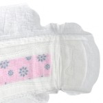 Sanitary Pads Manufacturer - Hot Sale Organic Cotton Night Eco Disposable