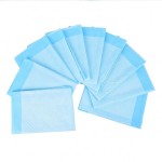 Bed Sheet Factory - Wholesale Disposable Waterproof 60cmx90cm Blue Adult