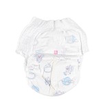 Baby Pull Up Diaper Manufacturer - China OEM ODM Free Sample SAP Super