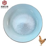 Wholesale 95% Bile Acids Amino Acid Poultry Feed Additives for Layer and Broiler Promotes Nutrition for Animals