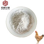 CAS#539-86-6 High Quality 10% Garlicin Powder for Poultry Layer Hen Garlicin Poultry Feed Additive Feed Grade Allicin