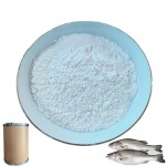 Factory Directly Supply 40% Bile Acid for Fish and Shrimp Animal Feed Additive  Broiler Feed Additive Feed Additive Lysine