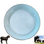 Factory Directly Supply Livestock Feed Additives 95% Bile Acid for Pig,horse,cattle,goat to Promote Nutrition Bile Acid