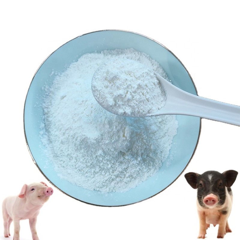 Factory Direct Supply High Quality 70% Bile Acid Hot Selling Animal Feed Additive for Pigs