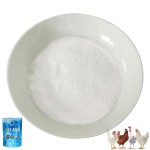 Wholesale 95% Bile Acids Amino Acid Poultry Feed Additives for Layer and Broiler Promotes Nutrition for Animals