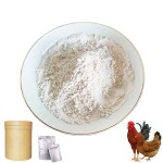 CAS#539-86-6 Factory Direct Supply Poultry Feed Additives 25% Garlic Extract Powder for Layer and Broiler Feed Grade Allicin