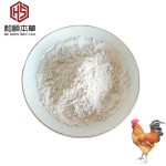 CAS#539-86-6 Factory Direct Supply Poultry Feed Additives 25% Garlic Extract Powder for Layer and Broiler Feed Grade Allicin