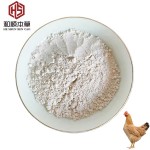 CAS#539-86-6 High Quality 10% Garlicin Powder for Poultry Layer Hen Garlicin Poultry Feed Additive Feed Grade Allicin