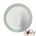 Wholesale 30% Bile Acid Feed Additives for Layer and Broiler Promoting Growth Supplements for Animals