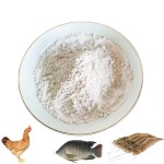 Wholesale CAS#539-86-6 Feed Additives 25% Allicin Powder for Aquatic Animals Poultry Livestock Feed Grade Allicin
