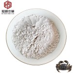 Feed Additive 10% Garlicin Powder Feed Grade Allicin for Aquatic Animals Feed Additive Allicin Garlicin
