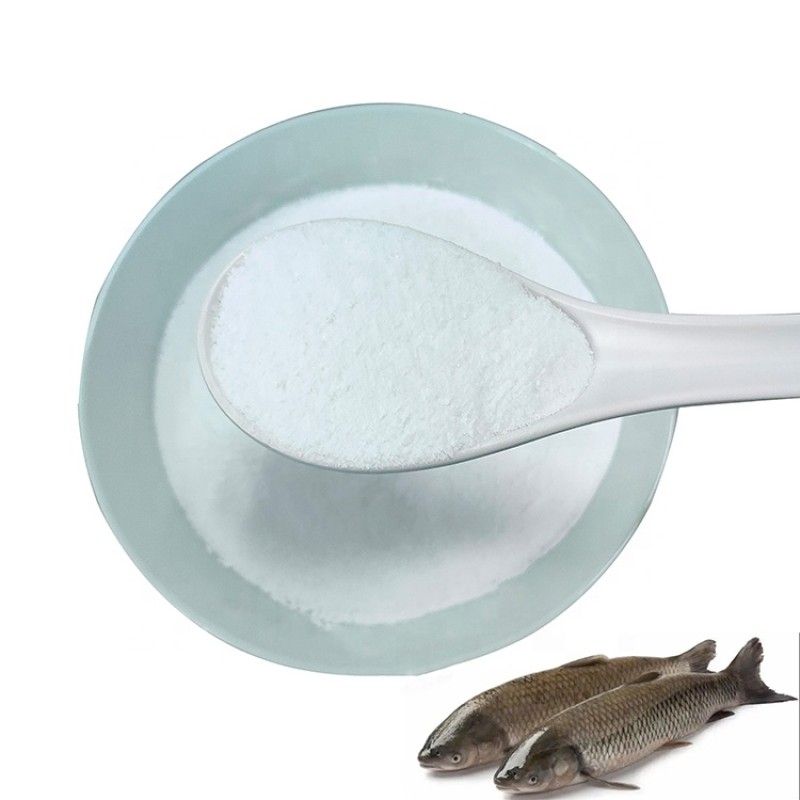 Factory Direct Supply 99% Vitamin C Powder Feed Additive for Aquatic Animals Fish Shrimp Crab High Quality for Fish Aquatic Life