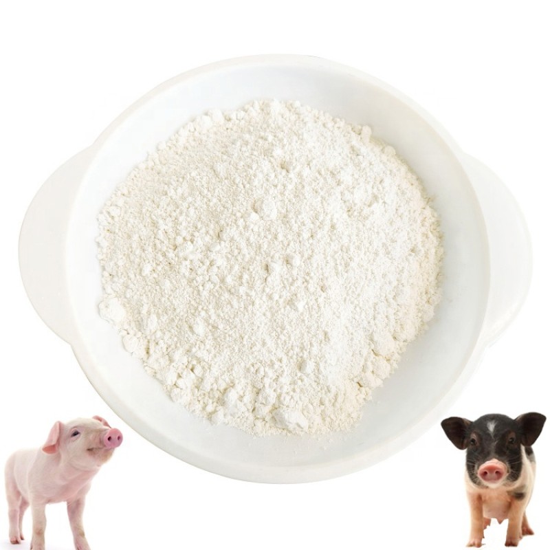 Wholesale 25% Allicin Garlicin Powder Feed Grade Additive for Pighorse Cattle Livestock 25% Allicin