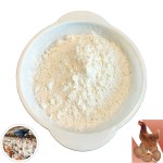Factory Directly Supply 30% Bile Acid for Poultry Increases Broiler Body Weight Feed Additives Bile Acid