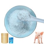Factory Direct Supply High Quality 70% Bile Acid Hot Selling Animal Feed Additive for Pigs