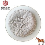 CAS#539-86-6 Wholesale 10% Allicin for Aquatic Animals Poultry and Livestock Feed Grade Allicin Feed Additive