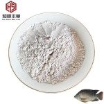 Feed Additive 10% Garlicin Powder Feed Grade Allicin for Aquatic Animals Feed Additive Allicin Garlicin