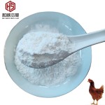 Factory Directly Supply 40% Bile Acid for Fish and Shrimp Animal Feed Additive  Broiler Feed Additive Feed Additive Lysine