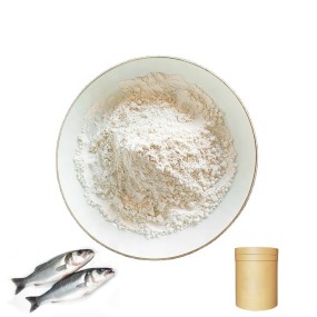 Allicin 25% Garlic Extract Powder for Animal Feed Additive and Fish Feed Additives and Poultry Feed Additive