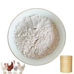 CAS#539-86-6 Wholesale 10% Allicin for Aquatic Animals Poultry and Livestock Feed Grade Allicin Feed Additive