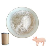 CAS#539-86-6 Wholesale 10% Allicin for Aquatic Animals Poultry and Livestock Feed Grade Allicin Feed Additive