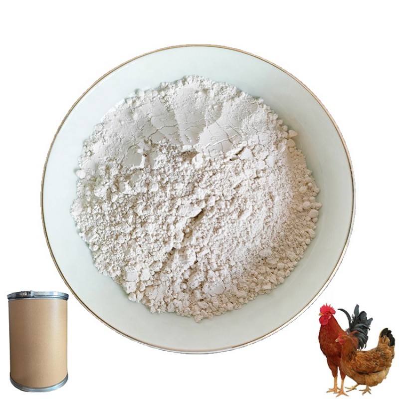 CAS#539-86-6 High Quality 10% Garlicin Powder for Poultry Layer Hen Garlicin Poultry Feed Additive Feed Grade Allicin