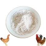 Wholesale CAS#539-86-6 Feed Additives 25% Allicin Powder for Aquatic Animals Poultry Livestock Feed Grade Allicin