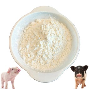 Factory Directly Supply 30% Bile Acid Powder Livestock Feed Additive for Pig Horse Cattle Animals Quality Feed Supplement