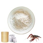 Allicin 25% Garlic Extract Powder for Animal Feed Additive and Fish Feed Additives and Poultry Feed Additive