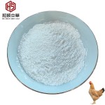 Factory Directly Supply Poultry Feed Additives 70% Bile Acid for Improving Production Performance of Poultry Bile Acid