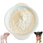 Factory Directly Supply Livestock Feed Additives 30% Bile Acid for Pig Horse Cattle to Improve Feed Conversion Feed Additives