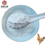 Factory Directly Supply 40% Bile Acid for Fish and Shrimp Animal Feed Additive  Broiler Feed Additive Feed Additive Lysine