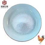 Wholesale 95% Bile Acids Amino Acid Poultry Feed Additives for Layer and Broiler Promotes Nutrition for Animals