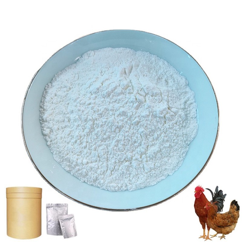 Factory Directly Supply Broiler Feed Additive 40% Bile Acid for Layer and Broiler Poultry Feed Additive  Bile Acid