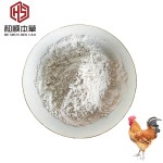CAS#539-86-6 High Quality 10% Garlicin Powder for Poultry Layer Hen Garlicin Poultry Feed Additive Feed Grade Allicin