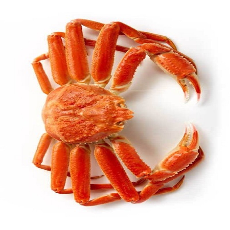 Snow Crab Factory - Premium Frozen Fresh Europe Origin Seafood