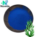 Spirulina Phycocyanin Powder Factory - Organic Blue Extract Food Grade OEM