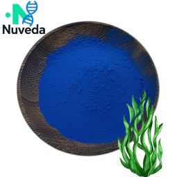 Spirulina Phycocyanin Powder Factory - Organic Blue Extract Food Grade OEM