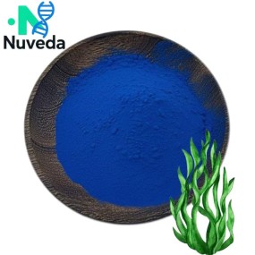Spirulina Phycocyanin Powder Factory - Organic Blue Extract Food Grade OEM