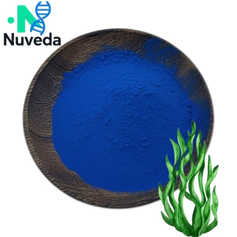 Spirulina Phycocyanin Powder Factory - Organic Blue Extract Food Grade OEM
