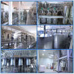 Turmeric Curcumin Powder Factory - GMP Certified Vegan Ginger Extract Custom