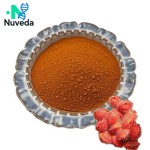 Annatto Extract Powder Factory - Water Soluble Norbixin Bixin 40% Custom